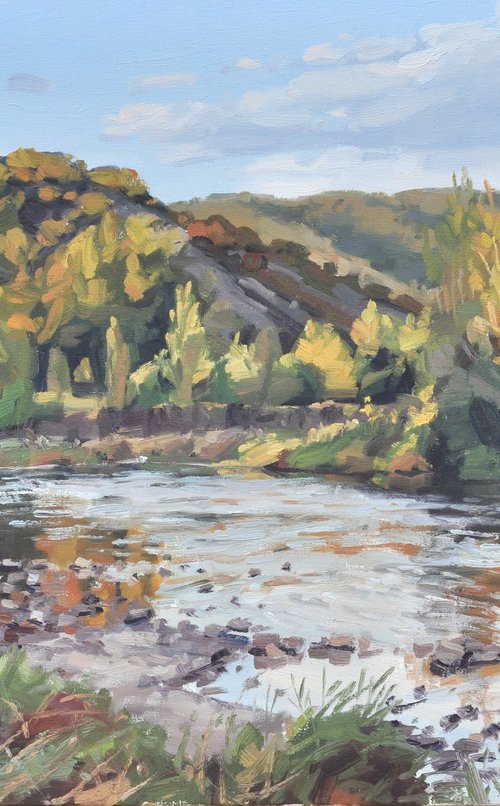 October 3, the Loire at Cheyrac by ANNE BAUDEQUIN