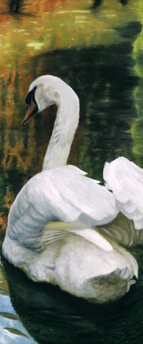 Autumn Swan by Andrew McNeile Jones