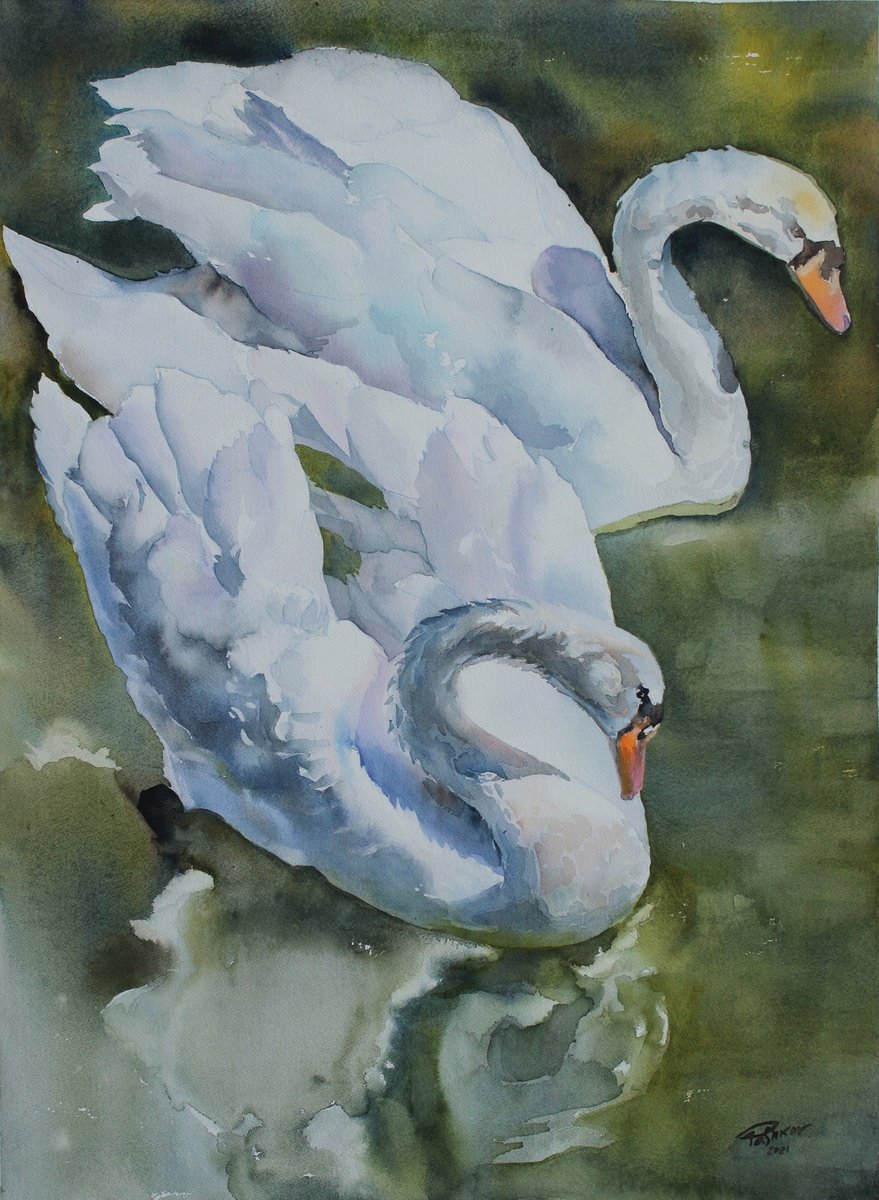 Impressionistic Animal Watercolour By Yurii Pashkov, 22 X 30", White Swans, Original Artwork