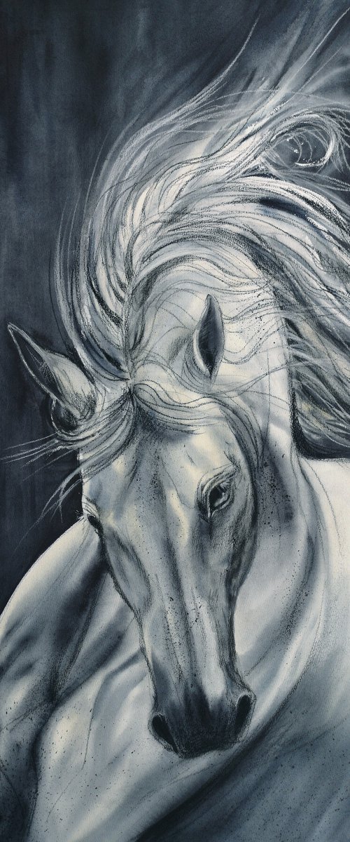Run Like the Wind - White Hors by Olga Beliaeva Watercolour