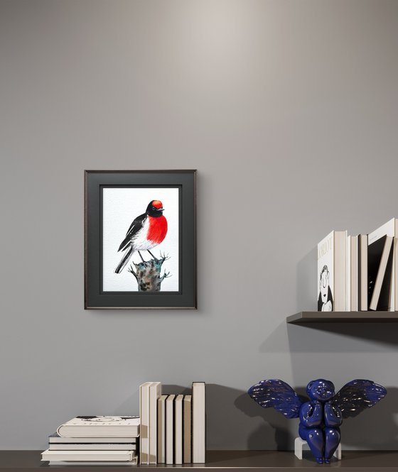 Red-capped Robin