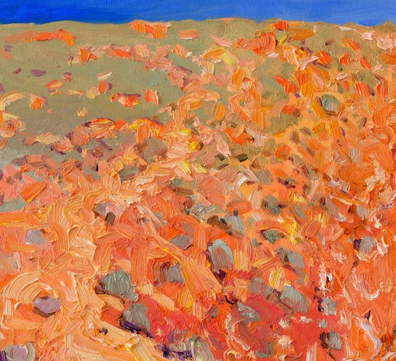 Red Cliffs and the Ocean