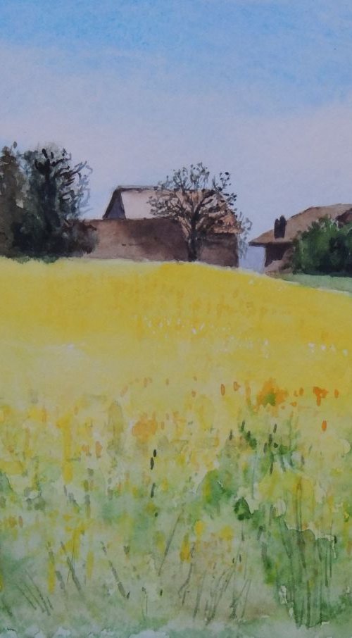 Swiss fields by Krystyna Szczepanowski