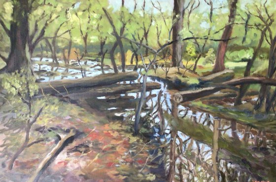 Woodland Idyll