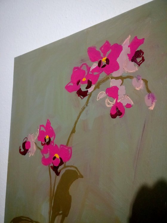 #33/24 Orchids