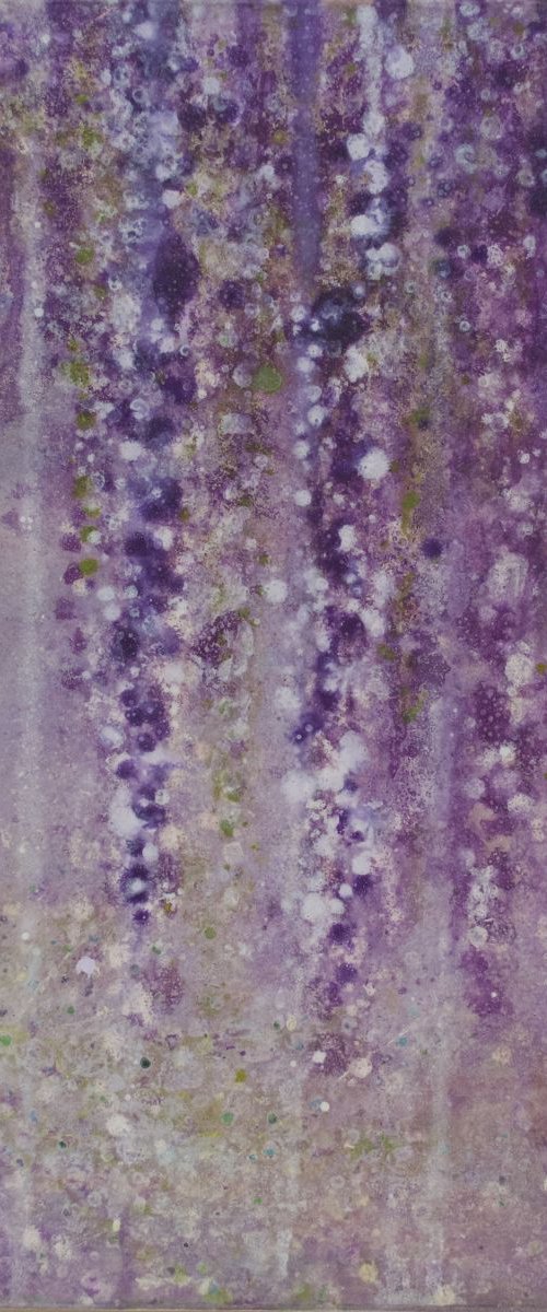 Wisteria by Alyson Howard
