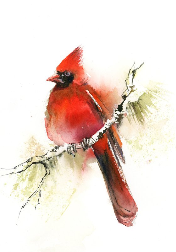 Northern Cardinal Bird Watercolor Painting