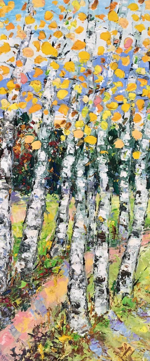 Birch trees path by Vilma Gataveckienė