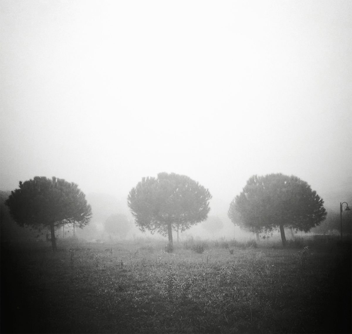 In the fog by Carmelita Iezzi