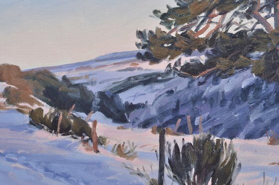 Twilight over the Mézenc