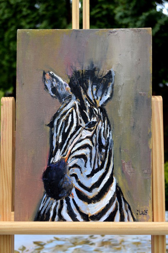 Zebra portrait