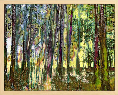 Mysterious Forrest opus 17 by Geert Lemmers FPA
