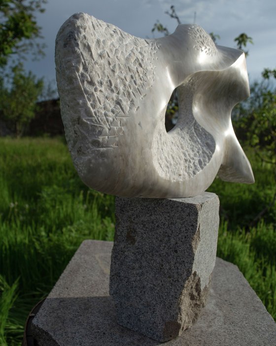 Stone and Light