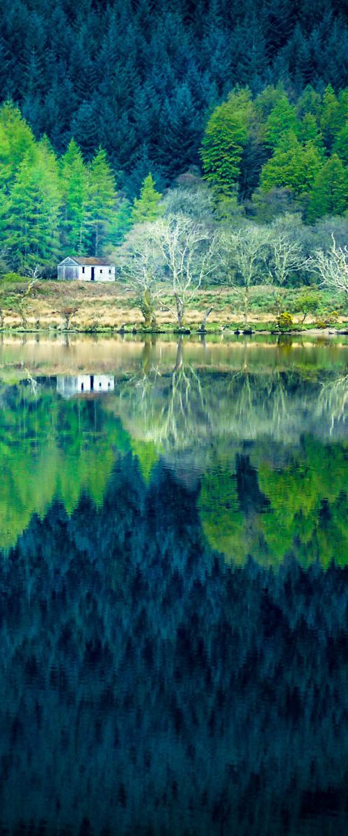 Tranquility, Loch Eck by Lynne Douglas