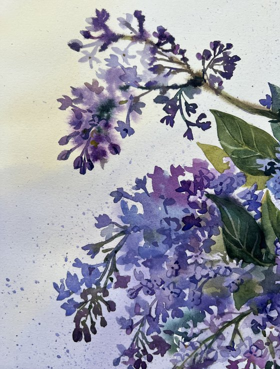 Bouquet of lilacs. Summer flowers.