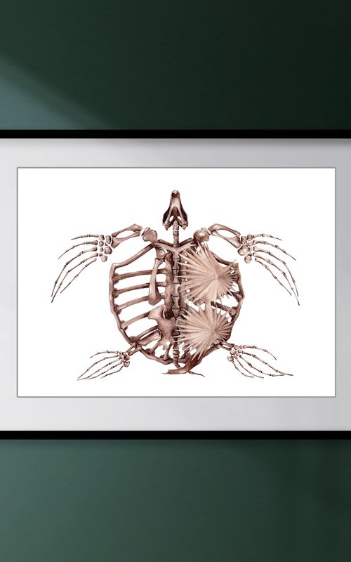 Archelon, the giant prehistoric marine turtle by Katya Shiova