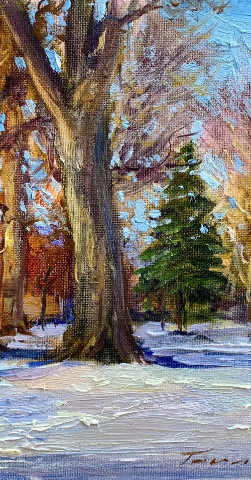 A sunny winter afternoon by Volodymyr Tarabanov