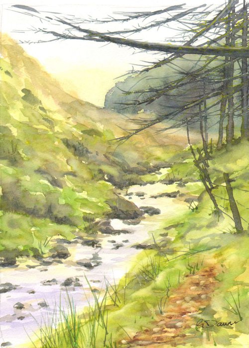 Mountain stream 2 by Geoffrey Dawson