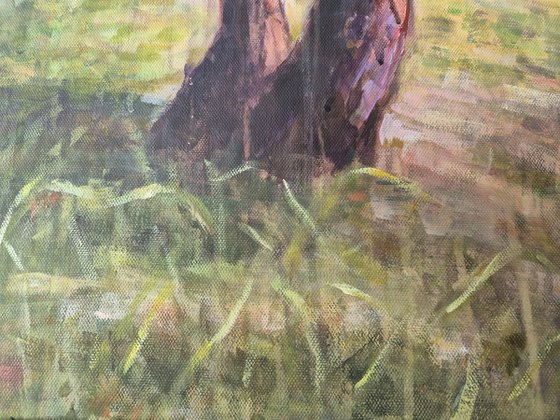 Almond Tree