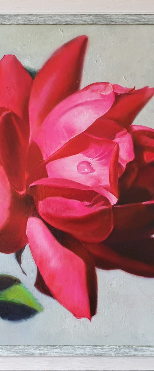 "Passionate. "  rose flower  liGHt original painting  GIFT (2021) by Anna Bessonova (Kotelnik)