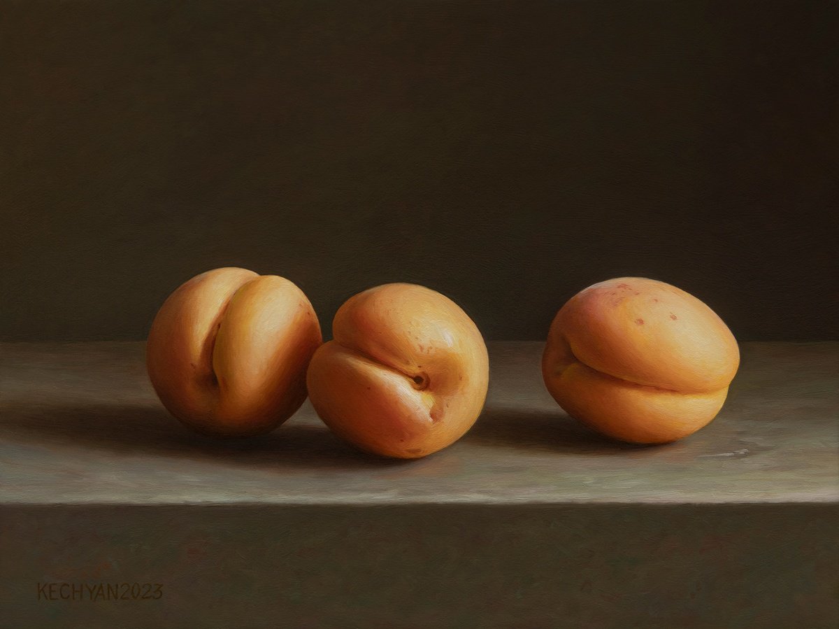 Apricots by Albert Kechyan