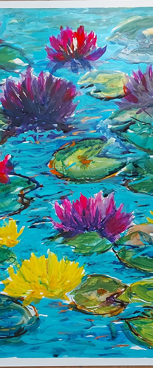 Yellow and pink water lilies by Silvia Flores Vitiello