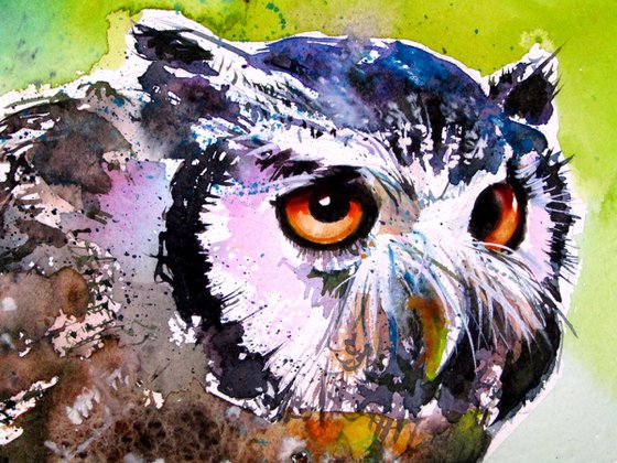 Resting owl
