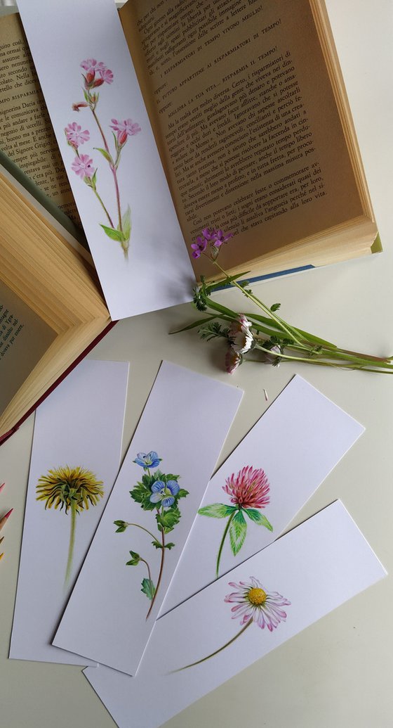 Wild Geranium - from my Wildflowers Bookmarks Collection