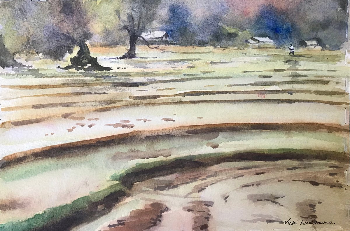 Impressionistic Landscape Watercolour By Vicki Washbourne, 11 X 8", Sri Lanka Paddy Fields, Original Artwork