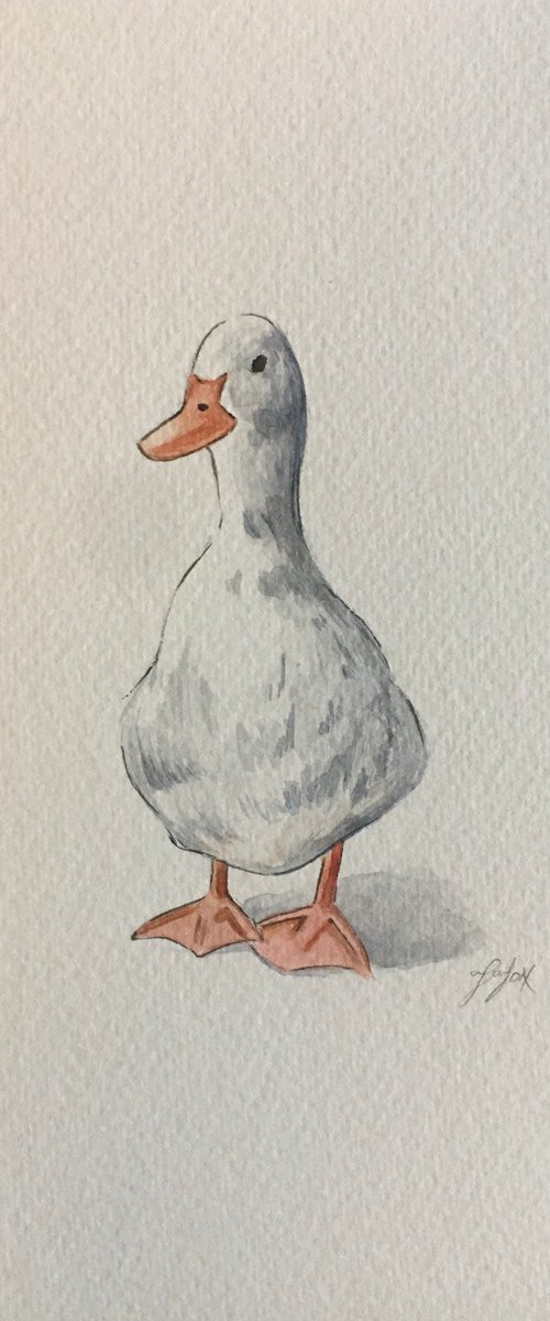 Duck by Amelia Taylor