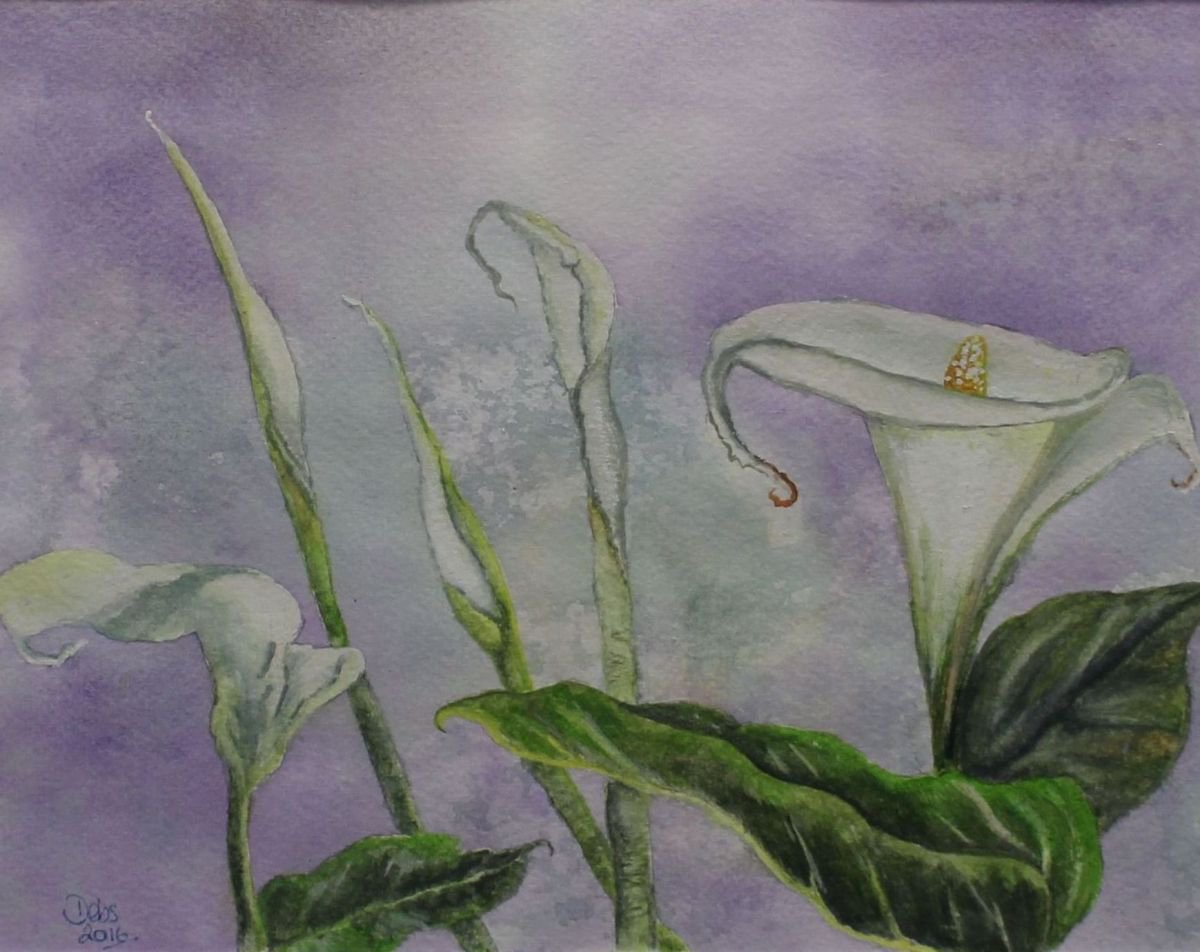 Calla Lilies by Deborah Jayne Palmer
