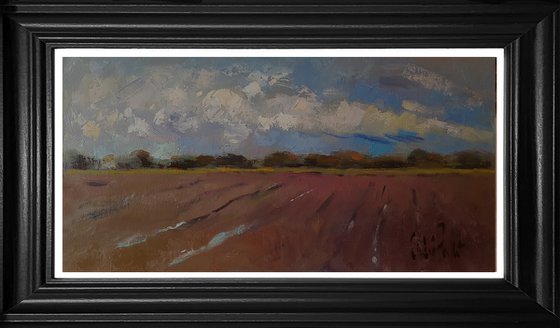 Sky and Red Ploughed Field