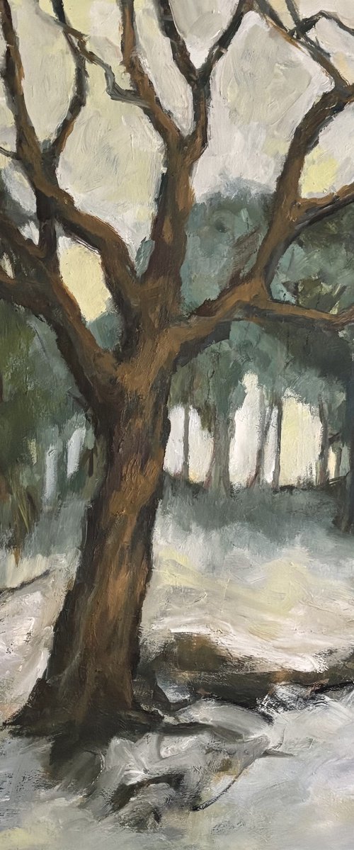 Lingering Snow by Joanna Farrow