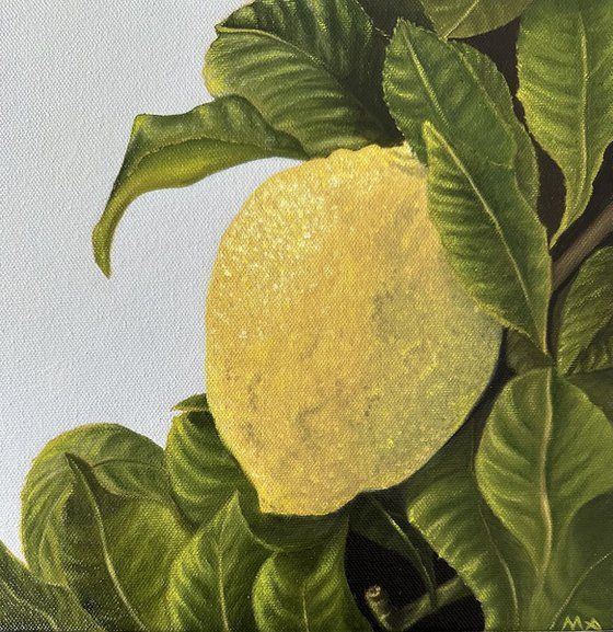 Lemon on branch #1