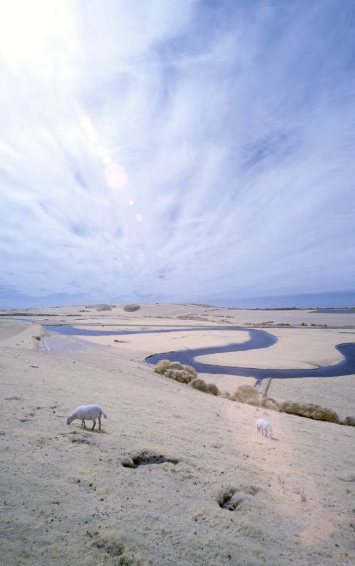 Cuckmere Haven by Ed Watts