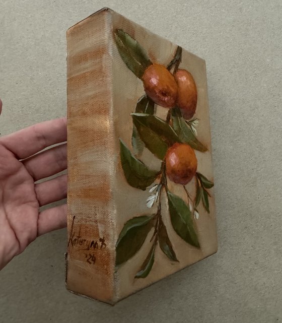Sweet mandarins 8th