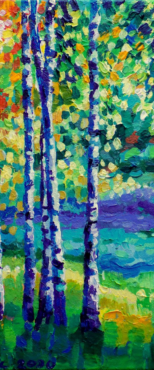 Birch trees by the river by Maja Grecic
