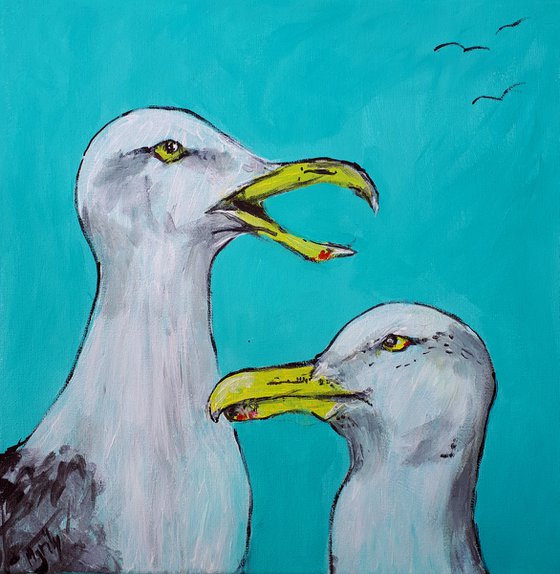 "Seagulls chatting"