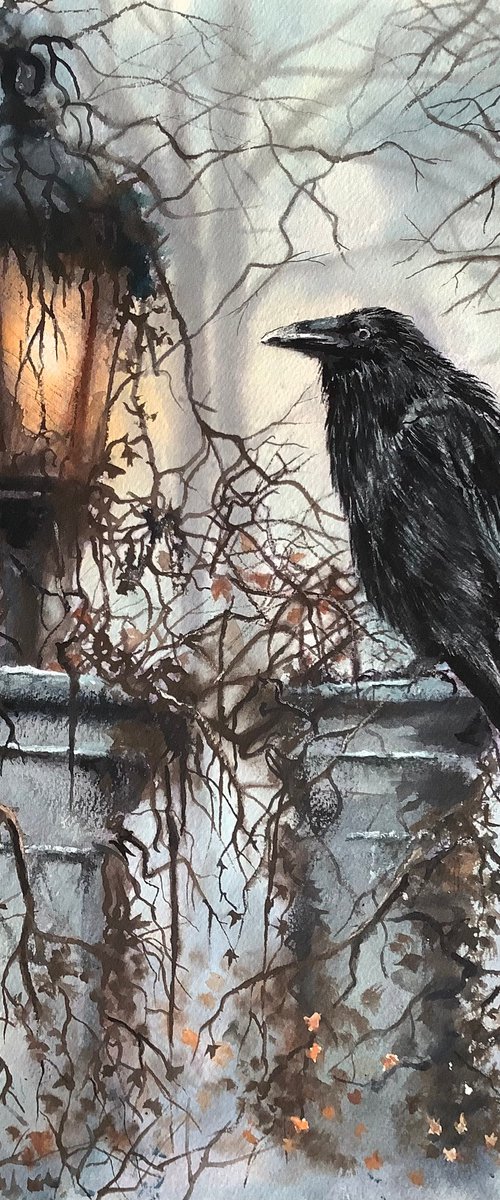 The Raven by Darren Carey