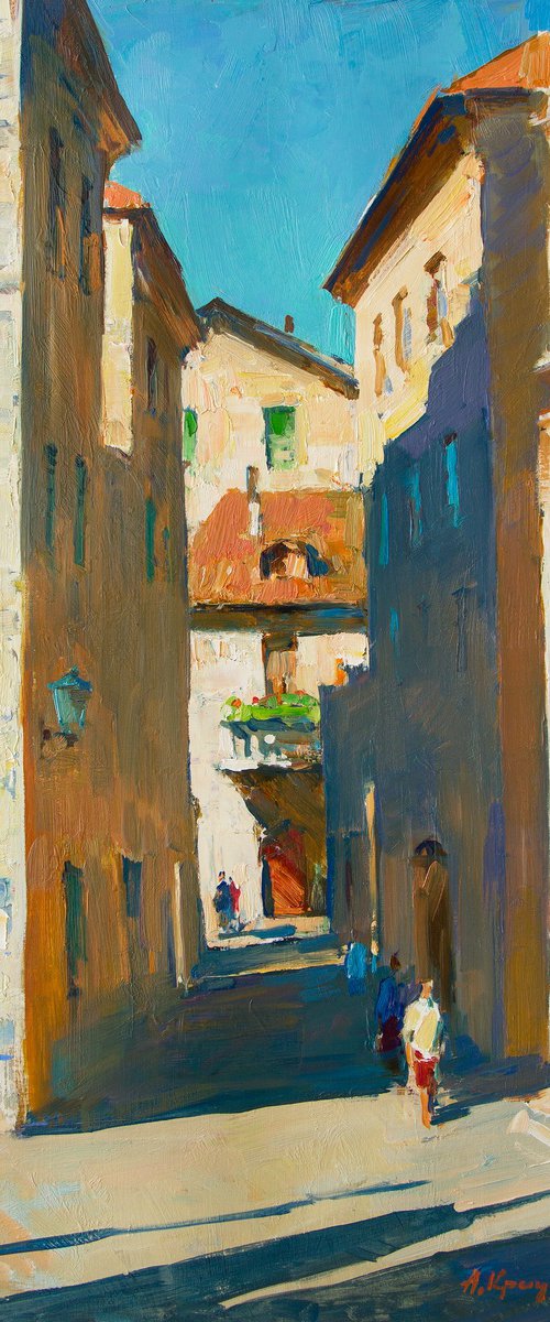 Kotor Lane by Aleksandr  Kryushyn
