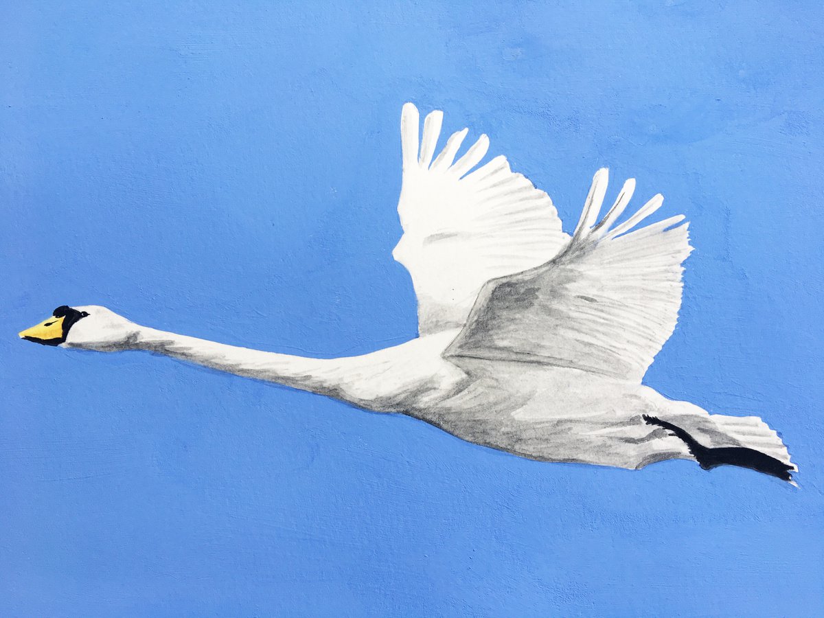 Swan by Laurence Wheeler