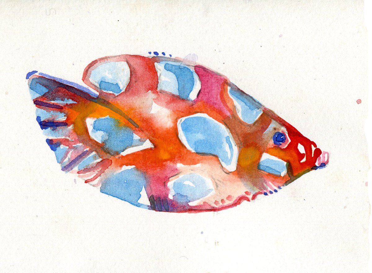 Small Red, Blue and Pink Tropical fish by Hannah Clark