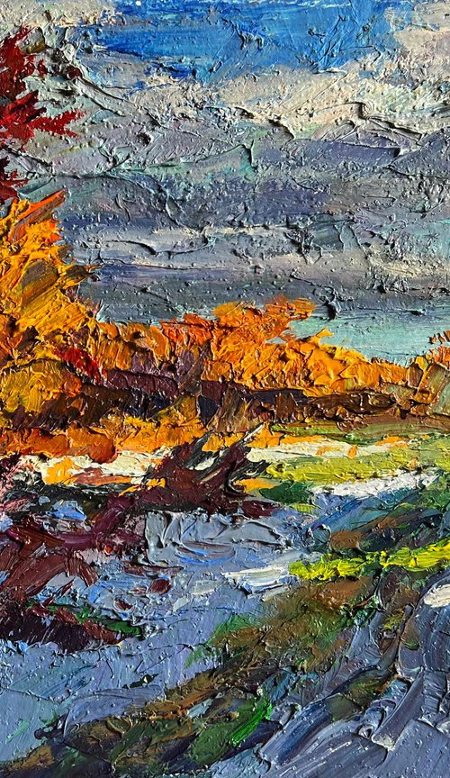 The First Snow Fell by Boris Serdyuk