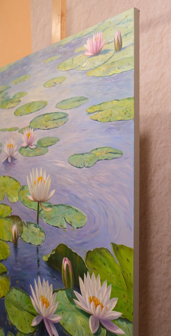 Water Lilies