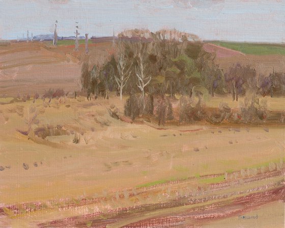 Spring Fields