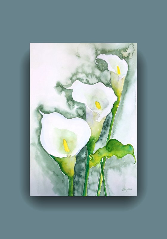 Calla lily