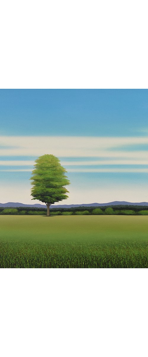 Countryside Trees - Blue Sky by Suzanne Vaughan