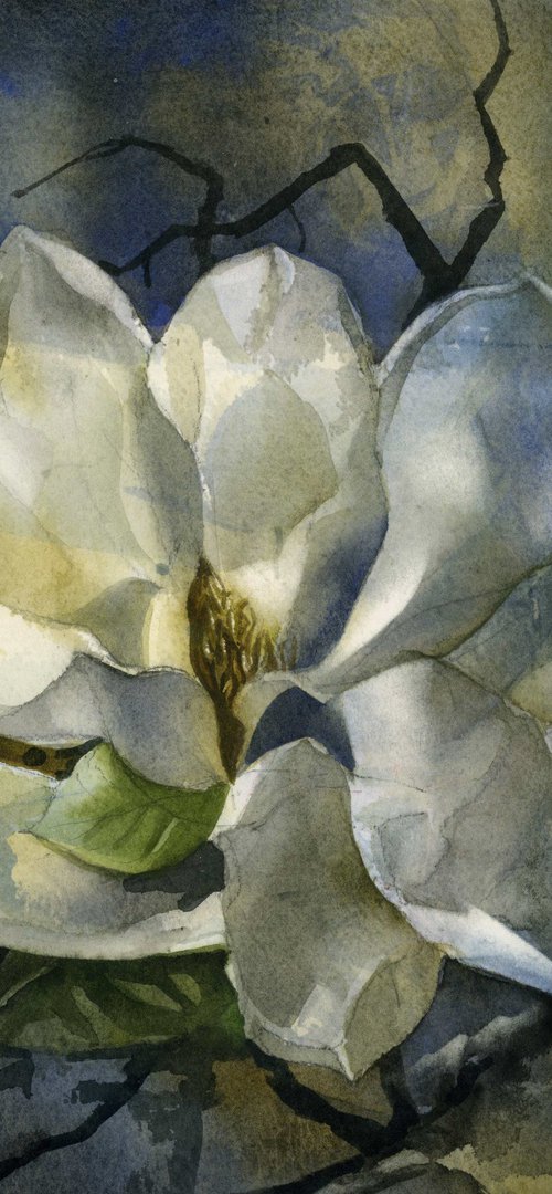magnolia memory by Alfred  Ng