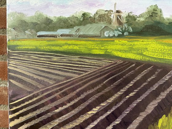 Plowed Field in Wachtum