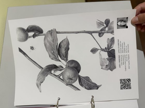 The Taste of Childhood